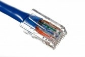 Network cable